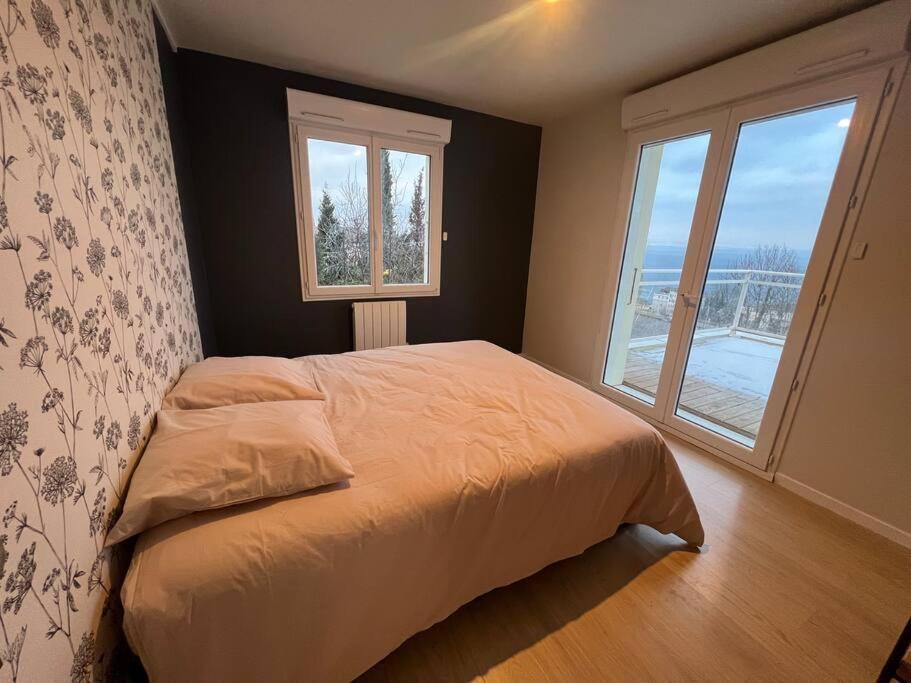 Leman Panoramique Avec Terrasse A Deux Pas Du Centre-Ville Évian-les-Bains Exteriör bild